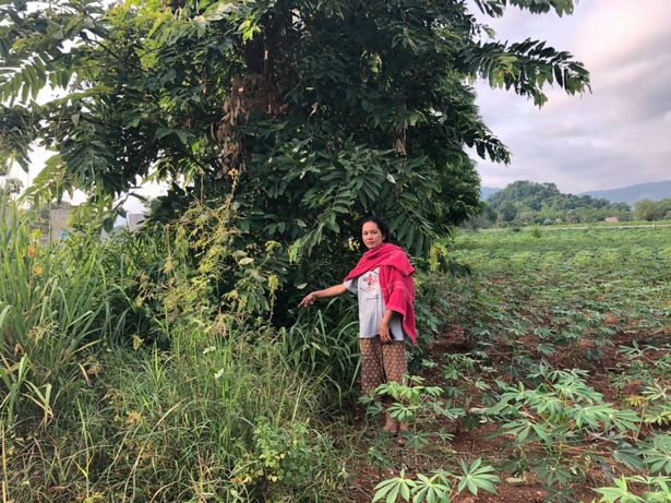 Chị Punyaphat Rakkratok phát hiện một bé gái trong bụi rậm, dưới gốc cây.