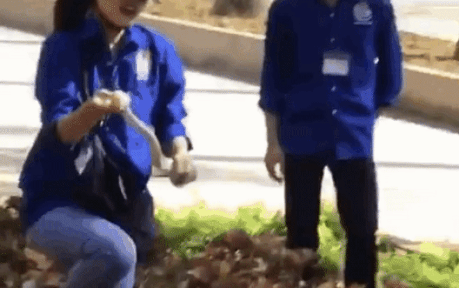 Clip: Nữ sinh 'tay không bắt rắn' rồi tươi cười vì 'chiến lợi phẩm' trên tay khiến bao bạn bè bái phục Ảnh 2