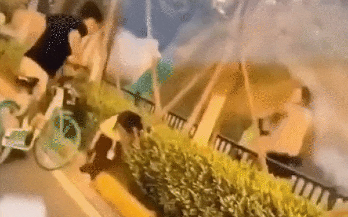 Mẹ tát con gái, đâm xe đạp vào người ngay giữa đường Ảnh 2