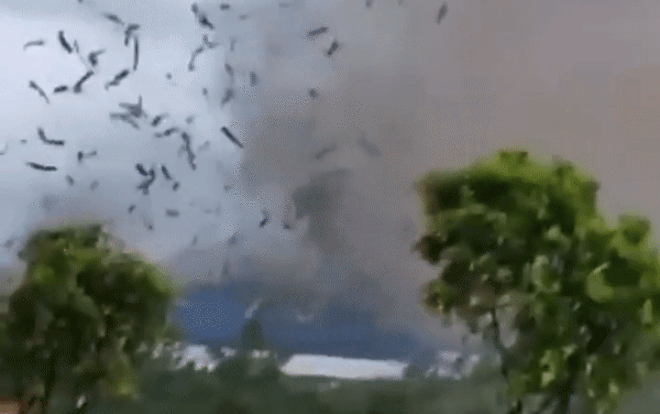 Lốc xoáy ở Vĩnh Phúc làm sập nhà xưởng công ty gỗ khiến nhiều người thương vong Ảnh 2