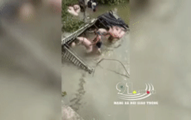 Xe tải bất ngờ mất lái rơi xuống sông, tài xế 'vật lộn' với 40 con lợn đưa lên bờ Ảnh 2