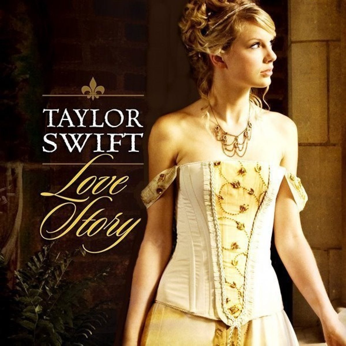 13-s-th-t-c-th-b-n-ch-a-bi-t-v-c-ng-ch-a-nh-c-pop-taylor-swift