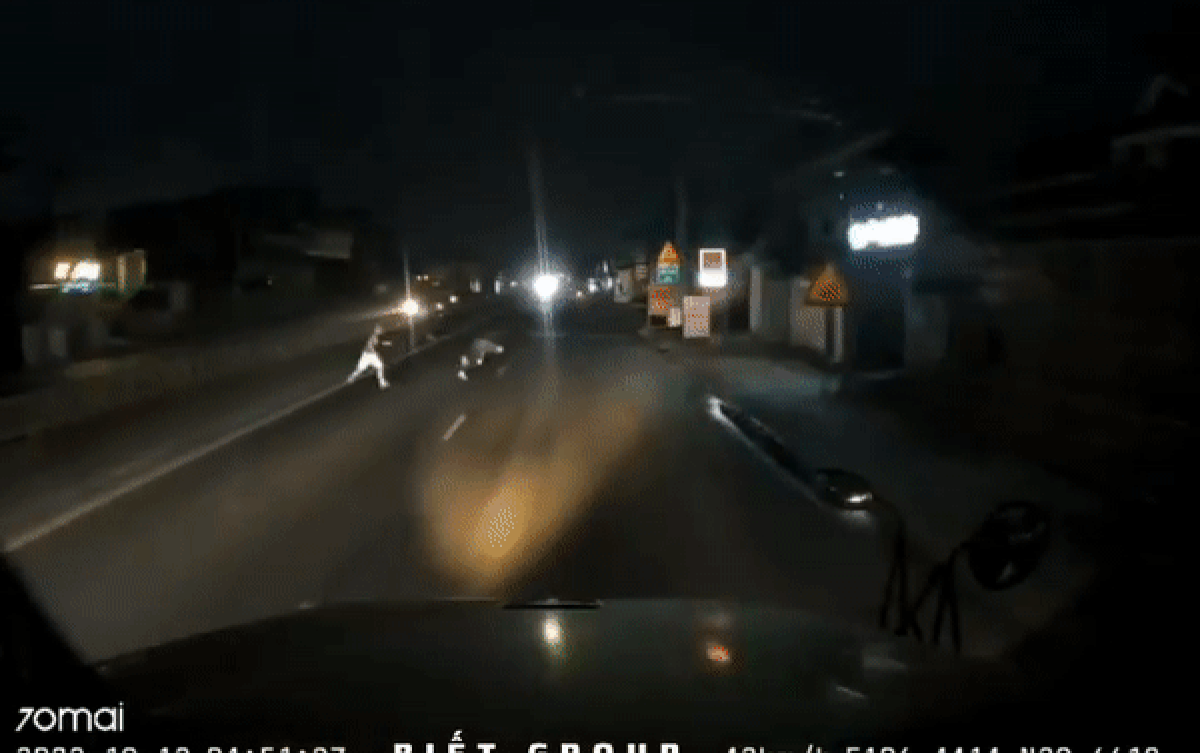 Hai 'bóng đen' bất ngờ lao ra trước đầu xe container, tài xế hét lên đầy bất lực Ảnh 2