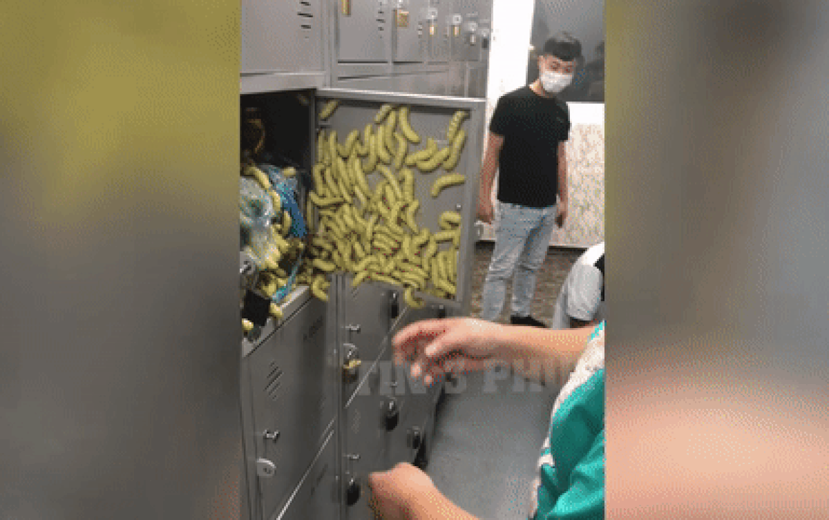 Mua túi tằm cất tủ định tối đem về nấu ăn, lúc mở tủ liền thấy cảnh trớ trêu này Ảnh 2