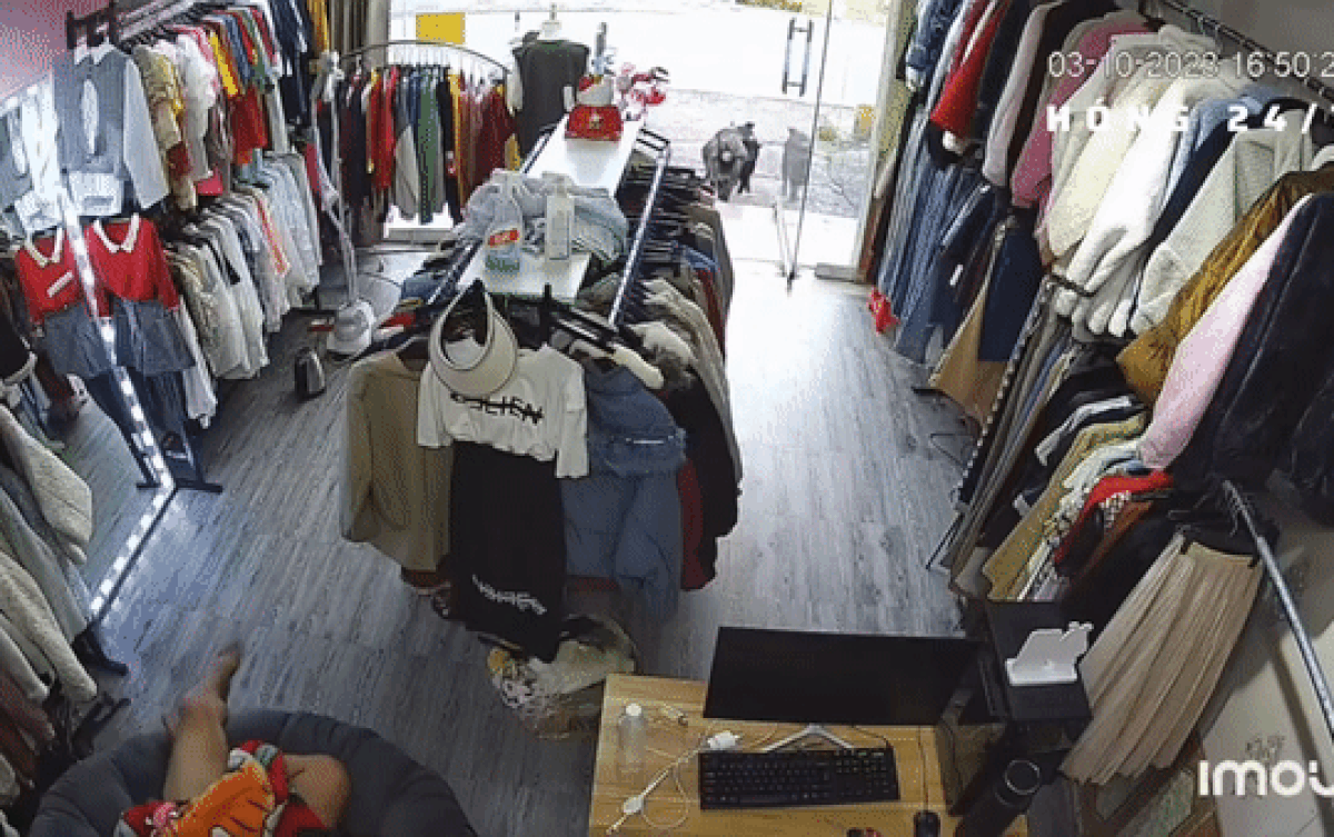 Ngồi trông cửa hàng, chủ shop ngớ người khi thấy 2 'vị khách' đặc biệt chạy vào Ảnh 2