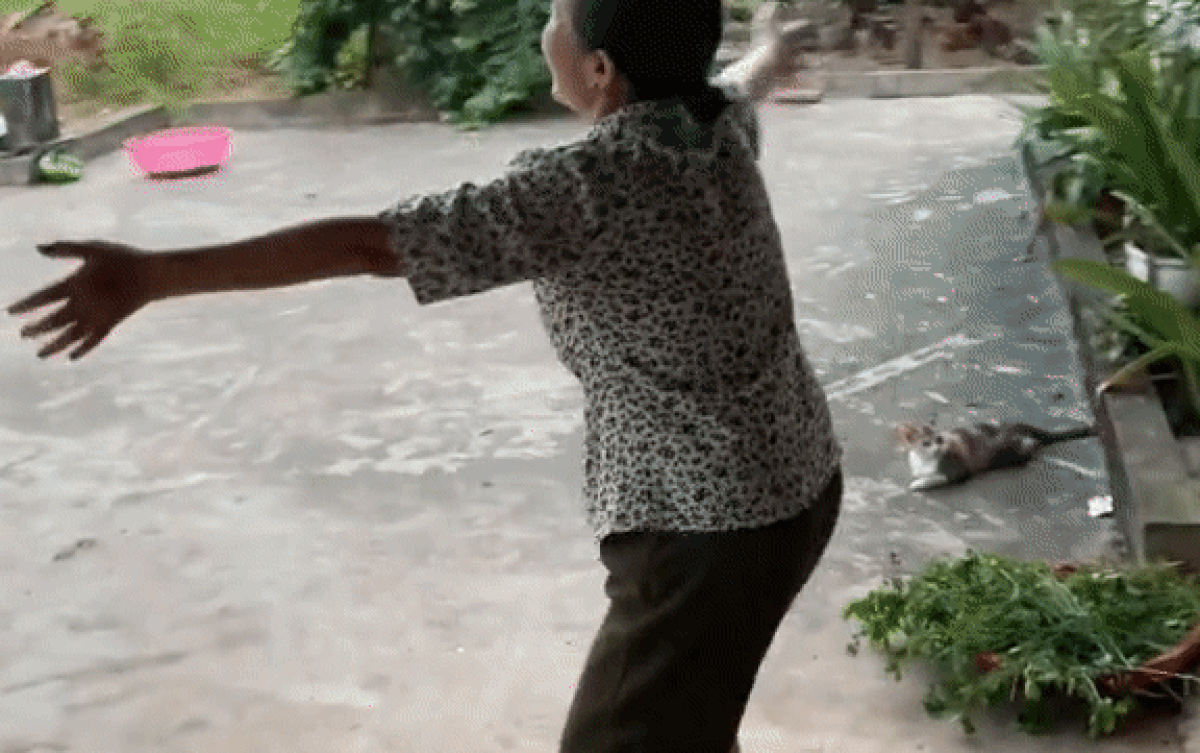 Con dâu thông báo mang thai, phản ứng của mẹ chồng khiến dân tình vui lây Ảnh 2