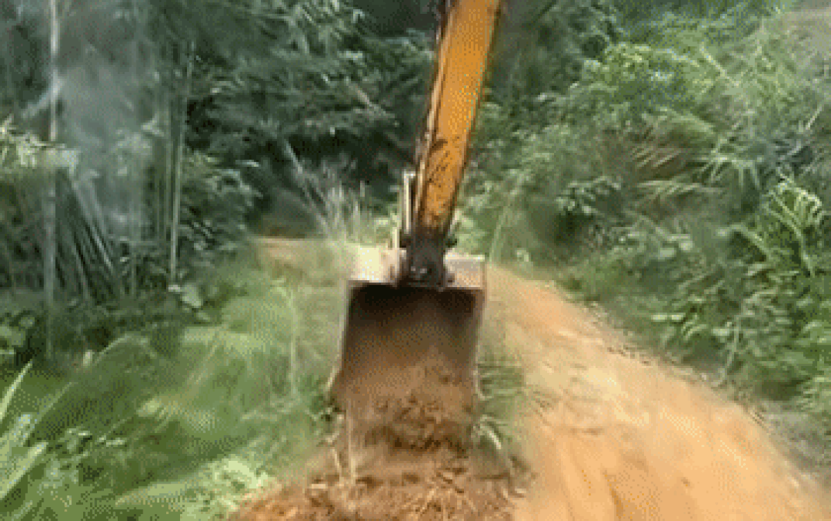 Tài xế lái máy xúc và hành động đẹp khi đi qua con đường cỏ dại mọc um tùm Ảnh 2