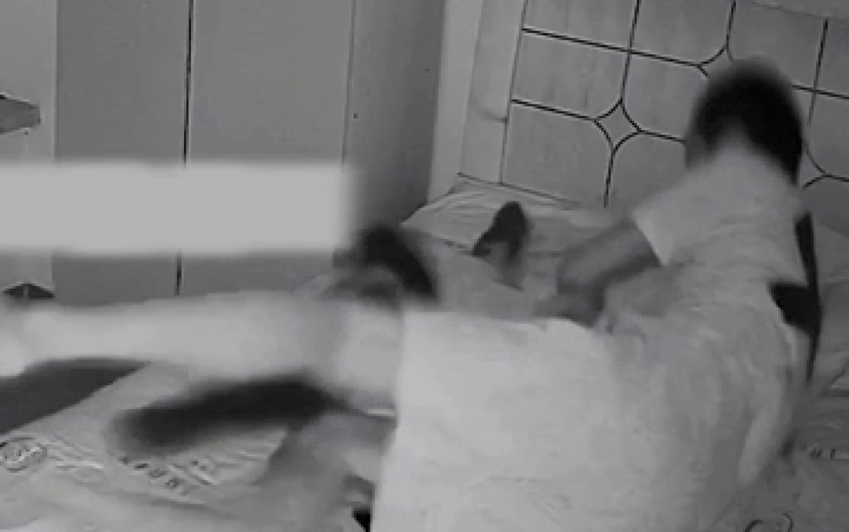 Đang ngủ say, nam thanh niên được phen hú vía khi mèo cưng tha thứ này lên giường Ảnh 2