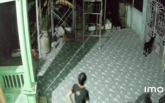 Chó cưng mất tích 4 ngày bất ngờ về cào cửa, phản ứng của chủ nhân khiến ai cũng vui lây Ảnh 2