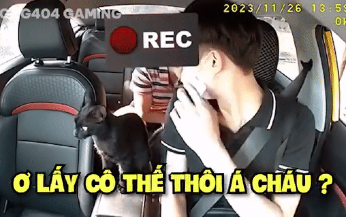 Vừa tỏ vẻ ghét bỏ chú mèo, nam tài xế liền quay ngoắt thái độ khi được khách nữ chơi 'sộp' Ảnh 2