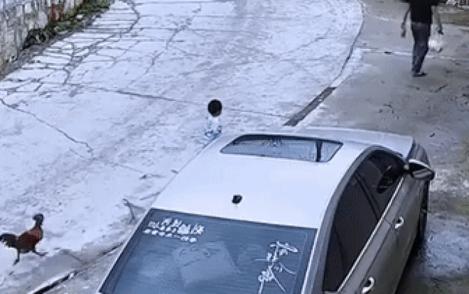 Thấy gà trống ngang ngược tung cước đá cháu trai, người chú có màn 'cứu giá' cười lăn lộn Ảnh 2