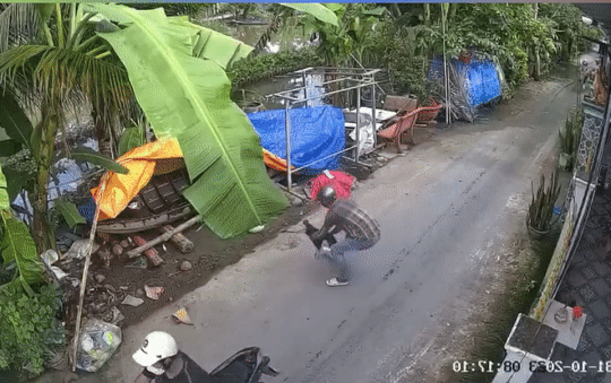 Màn bắt gà 'nhanh hơn điện' khiến nhiều người phải dụi mắt xem lại nhiều lần Ảnh 2