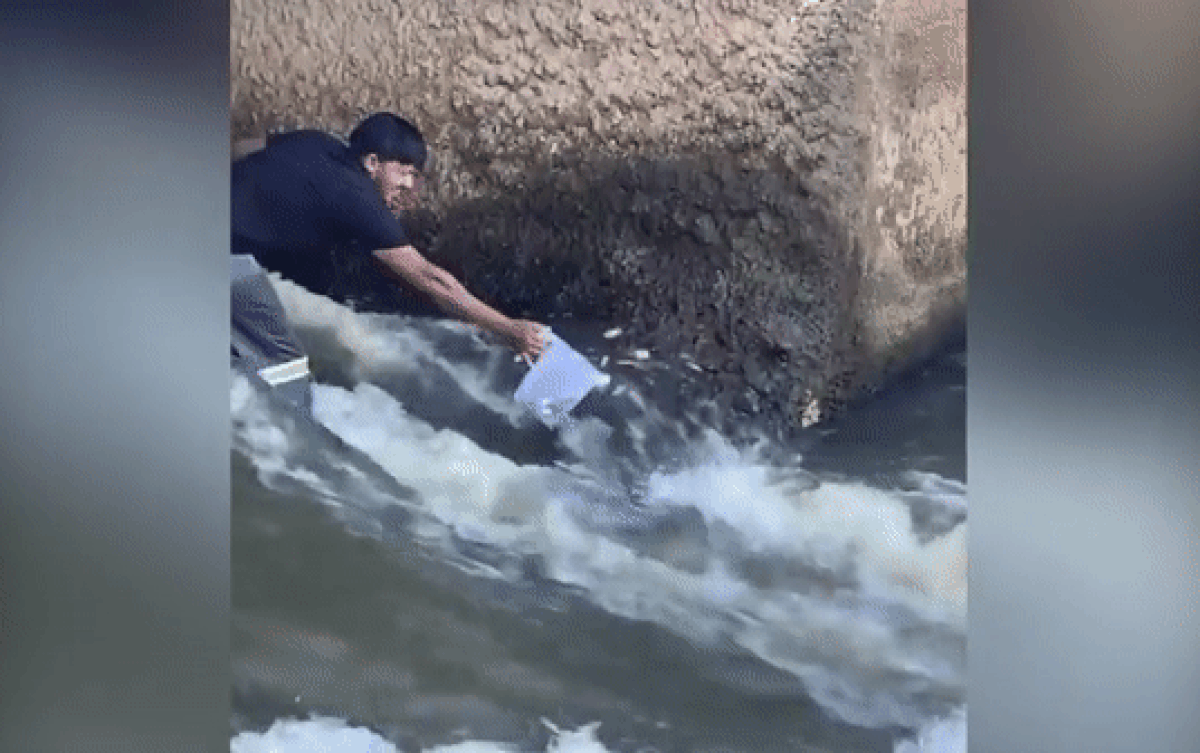 Mang ca nhựa đi bắt cá, thanh niên thu được thành quả đáng kinh ngạc Ảnh 2