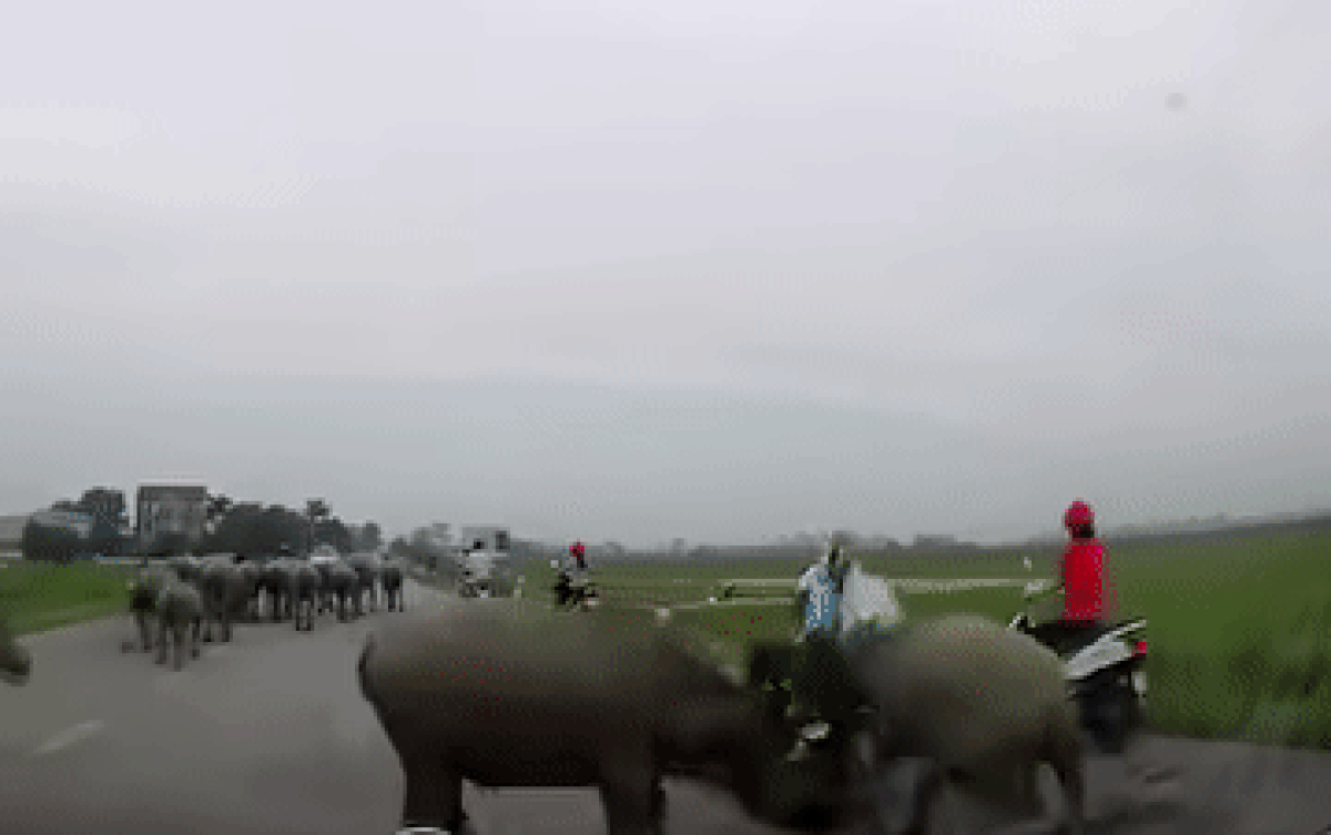 Xe máy đang chạy bon bon, đôi nam nữ bất ngờ ngã kềnh xuống đường vì sự cố khó đỡ này Ảnh 2