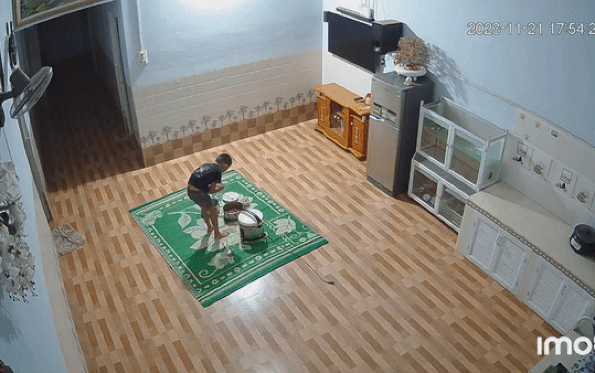 Bố mẹ đi làm từ sáng đến đêm mới về, check camera xem 2 con ở nhà liền thấy cảnh xúc động Ảnh 2