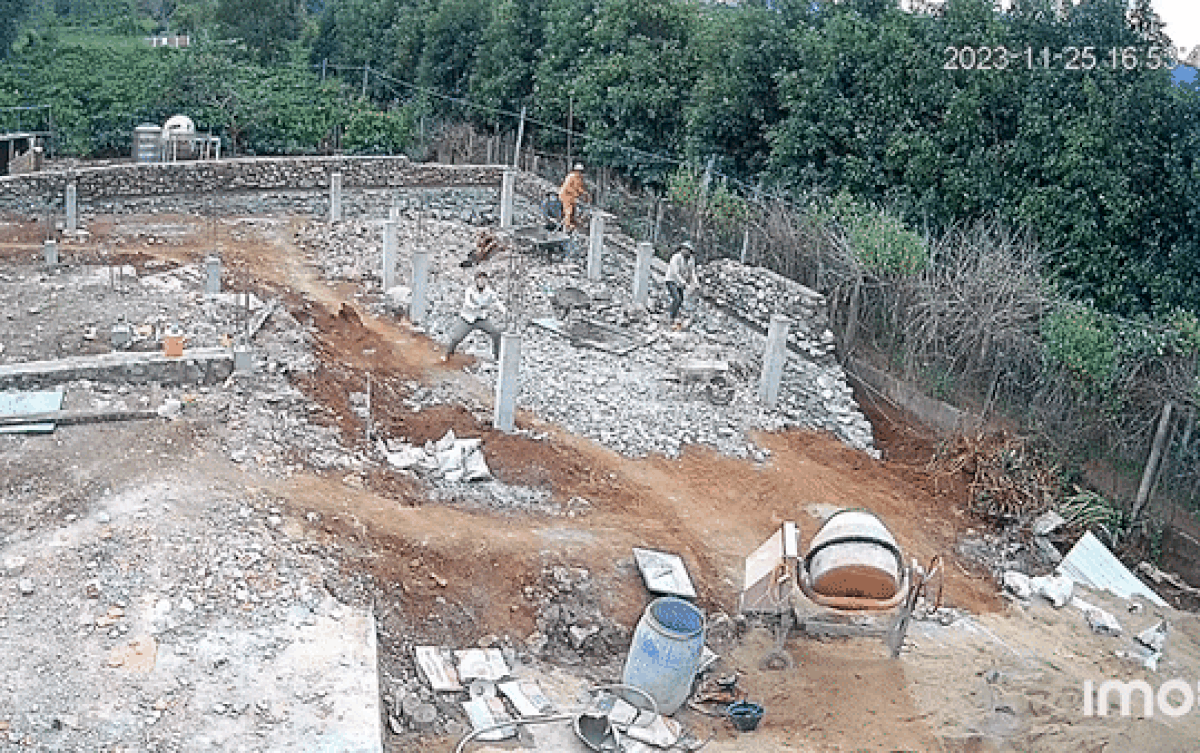 Đang làm việc vất vả, đội thợ xây bất ngờ nhận được 'lộc trời' rơi xuống Ảnh 2