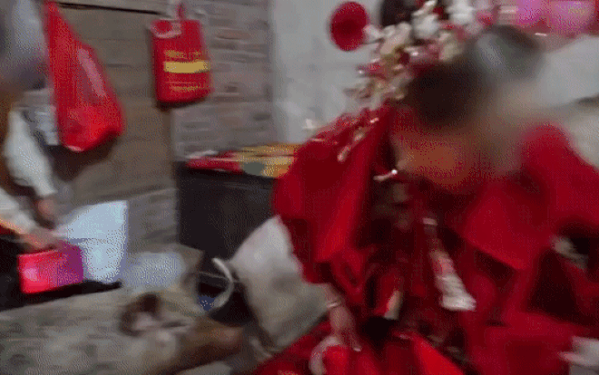 Đàn lợn 3 con đột ngột lao lên giường cưới chiếm chỗ cô dâu, cảnh tượng hỗn loạn gây choáng Ảnh 2