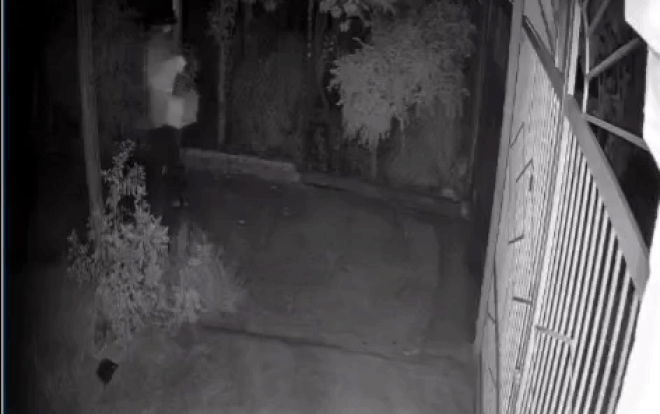 Clip người đàn ông tàn nhẫn bỏ bé sơ sinh còn nguyên dây rốn trước cổng chùa rồi bình thản rời đi Ảnh 2