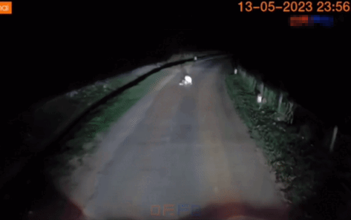 Ô tô đổ đèo trong đêm bất ngờ gặp 'bóng trắng' giữa đường, tài xế lại gần kiểm tra mới thở phào nhẹ nhõm Ảnh 2