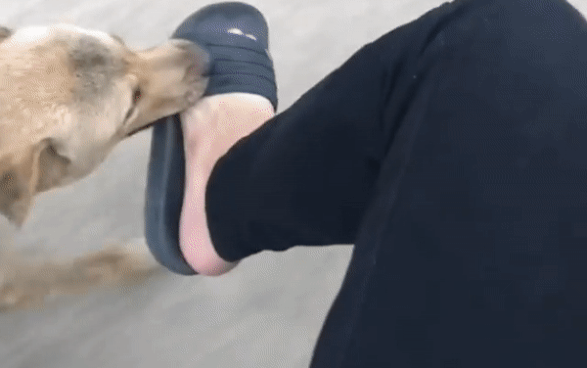 Khoe khoảnh khắc 'lần đầu được theo đuổi', thanh niên khiến dân tình cười lăn khi thấy nhân vật chính Ảnh 2