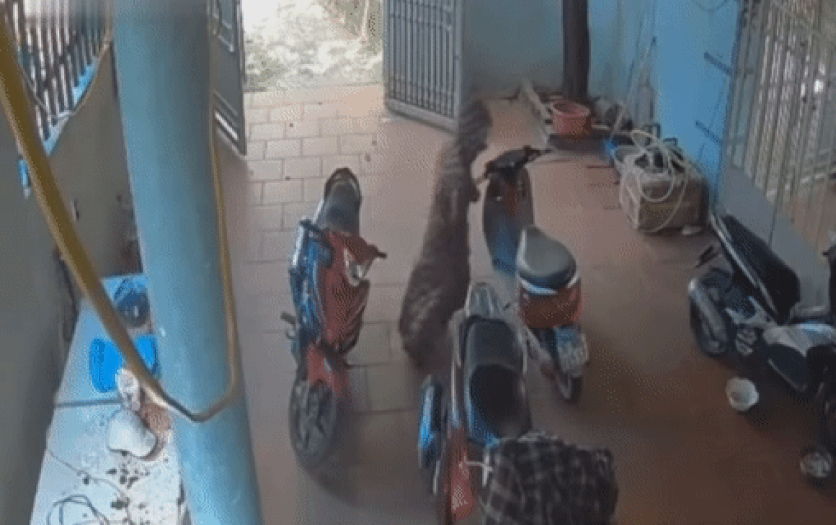 Giận chồng, người vợ có hành động lạ khiến chồng xem lại camera chỉ biết ôm bụng cười Ảnh 2