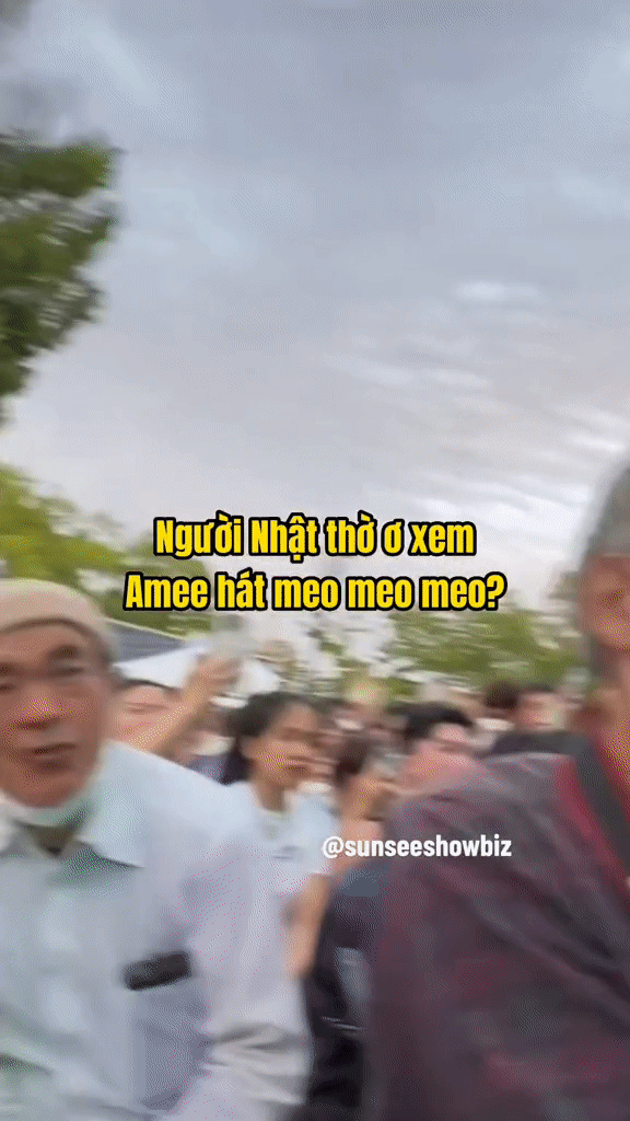  Nữ ca sĩ đình đám Việt Nam bị khán giả Nhật Bản ngó lơ, không chút cảm xúc khi xem biểu diễn? Ảnh 1