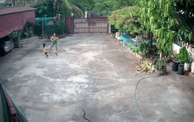Con rắn lao điên cuồng về phía 2 mẹ con nhưng bất ngờ phải bỏ chạy vì 1 nhân vật Ảnh 2