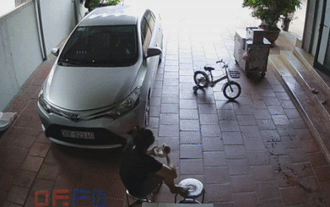 Vừa cầm tô cơm định ăn, người phụ nữ vội bỏ chạy vì một nguy hiểm không ngờ Ảnh 2