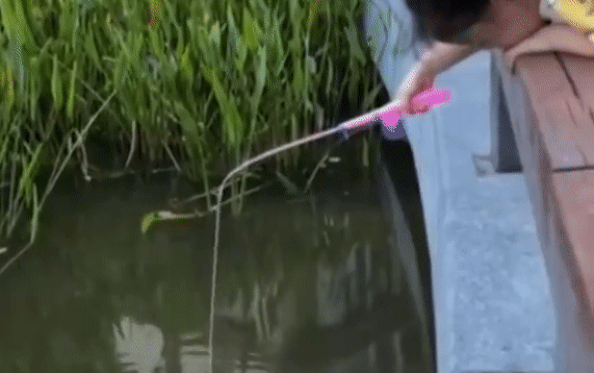 Cần thủ chuyên nghiệp khóc thét khi thấy bé gái câu cá bằng món đồ chơi rẻ tiền Ảnh 2