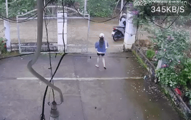 Vừa kéo mạnh cánh cổng, cô gái 'đứng hình' với cảnh trước mắt Ảnh 2