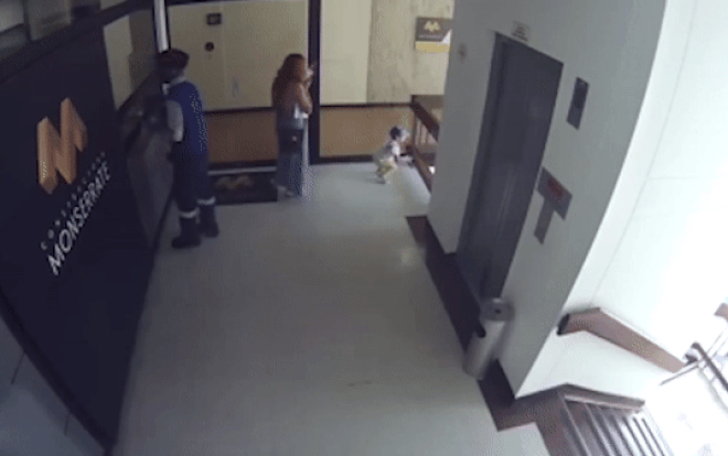 Khoảnh khắc người mẹ phản xạ cực nhanh, lao đến cứu con thoát nạn trong tích tắc Ảnh 2