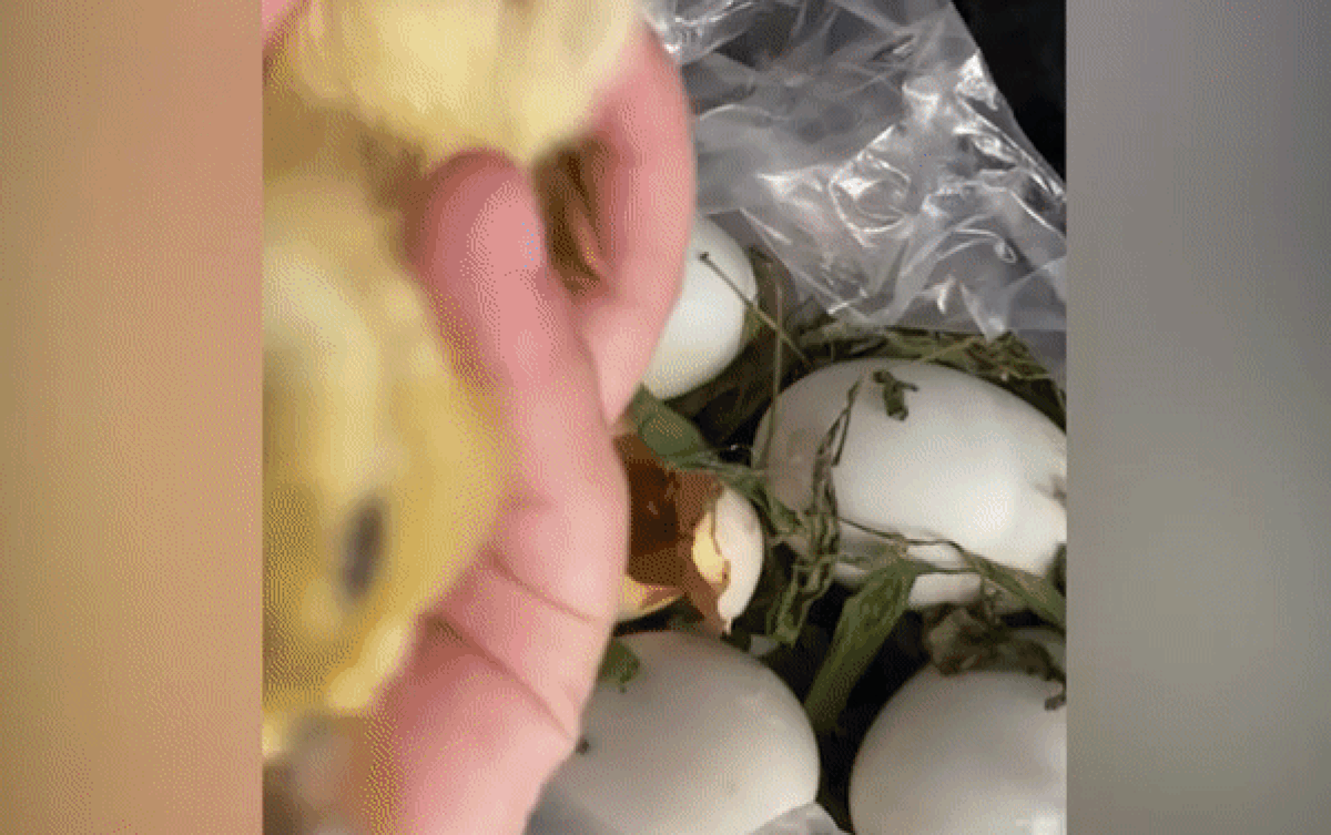 Mua trứng vịt lộn về chưa kịp ăn, cô gái ngỡ ngàng khi thấy cảnh này Ảnh 2