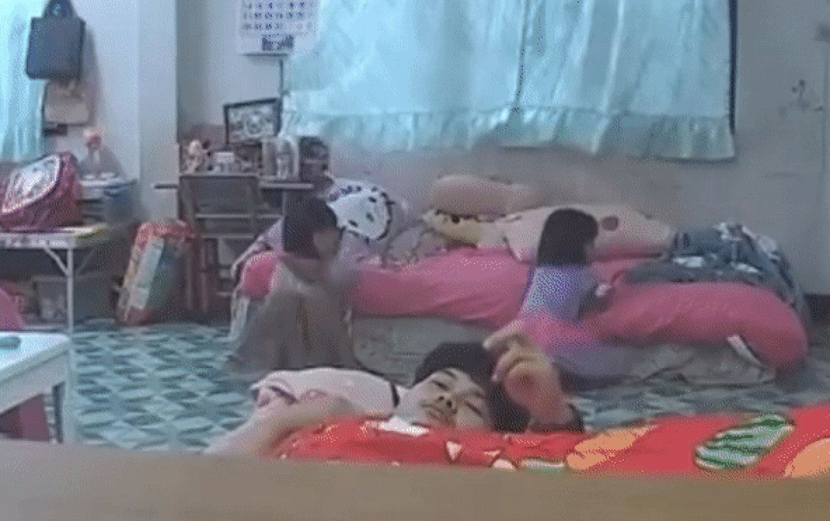 'Vị khách' bất ngờ xuất hiện, cả nhà đang xem tivi vội bỏ chạy Ảnh 2