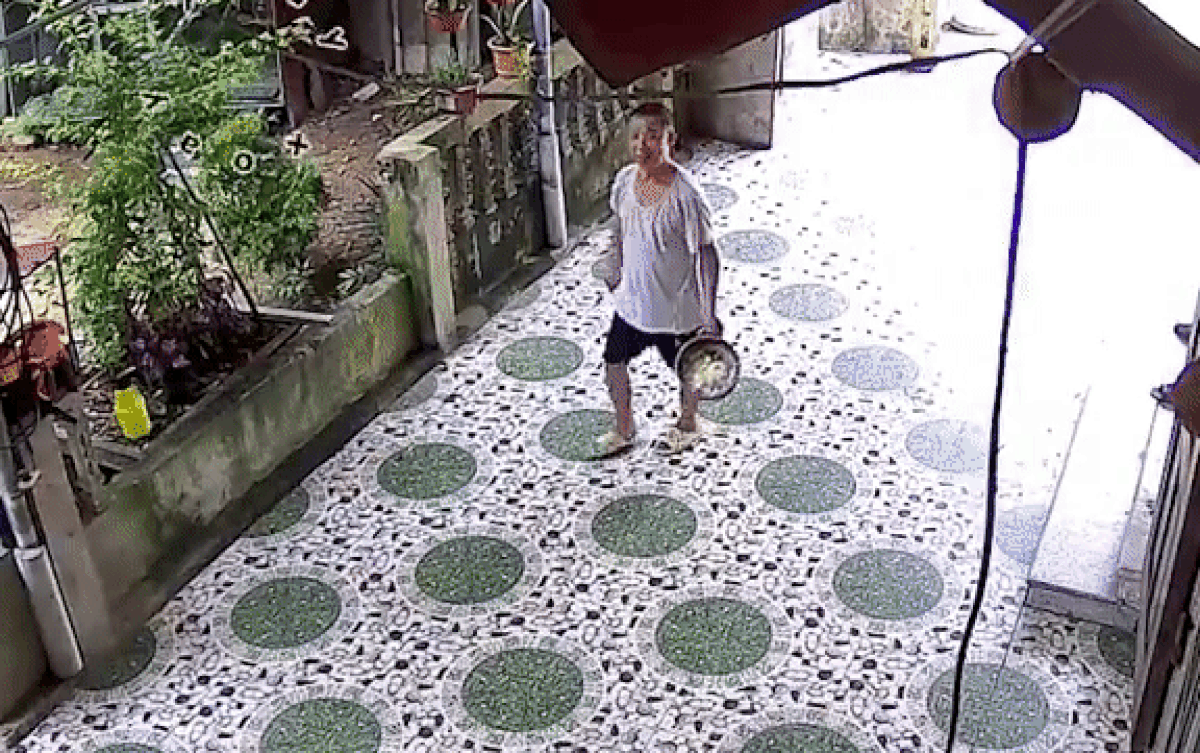 Vắng nhà, gia chủ xem camera phát hiện hành động cực dễ thương của bác hàng xóm Ảnh 2