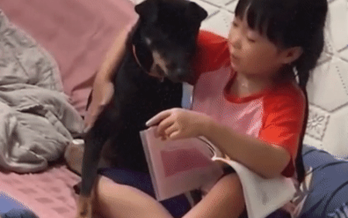 Dạy chú chó tập đánh vần, bé gái đưa ra phần thưởng khiến dân mạng cười ngất Ảnh 2