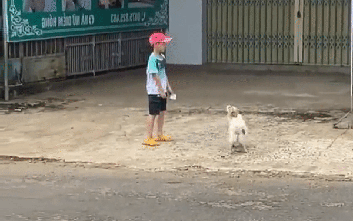 Gặp chó dữ trên đường, bé trai phản ứng khiến CĐM gật gù: Có bóng hình tôi ở đó Ảnh 2