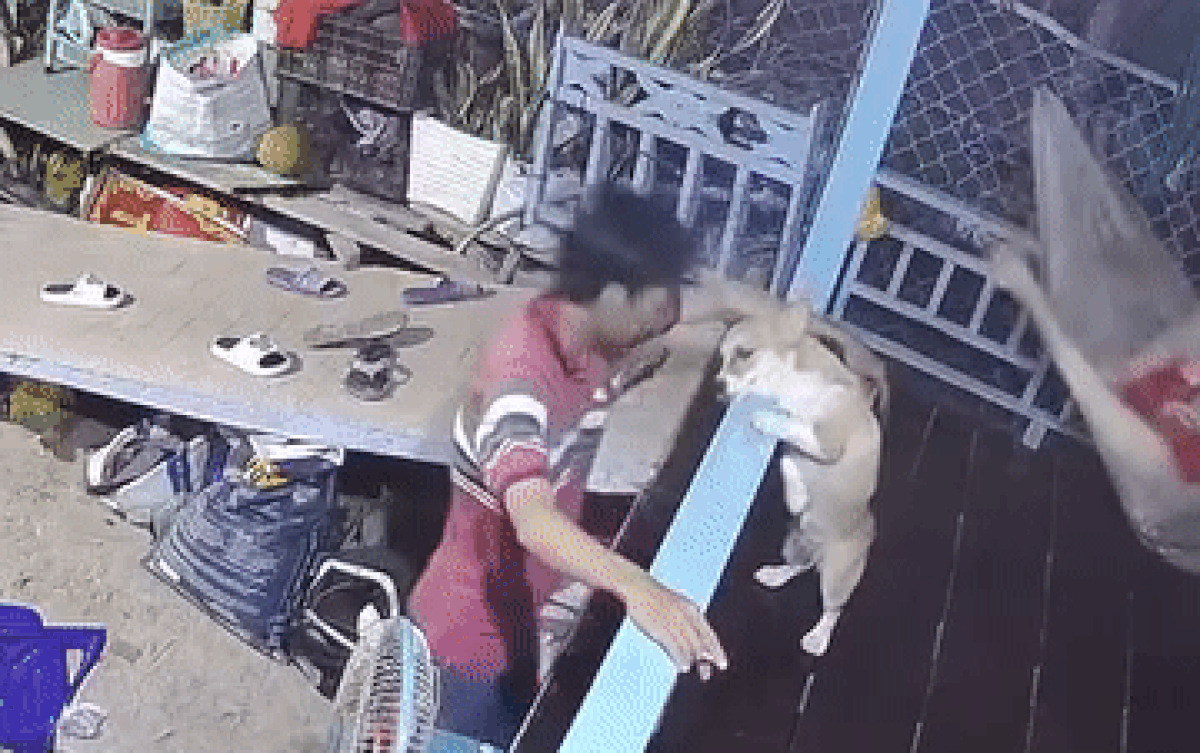 Bố mẹ lâu không gọi hỏi thăm, cô gái xem camera liền thấy cảnh đáng ghen tỵ này Ảnh 2