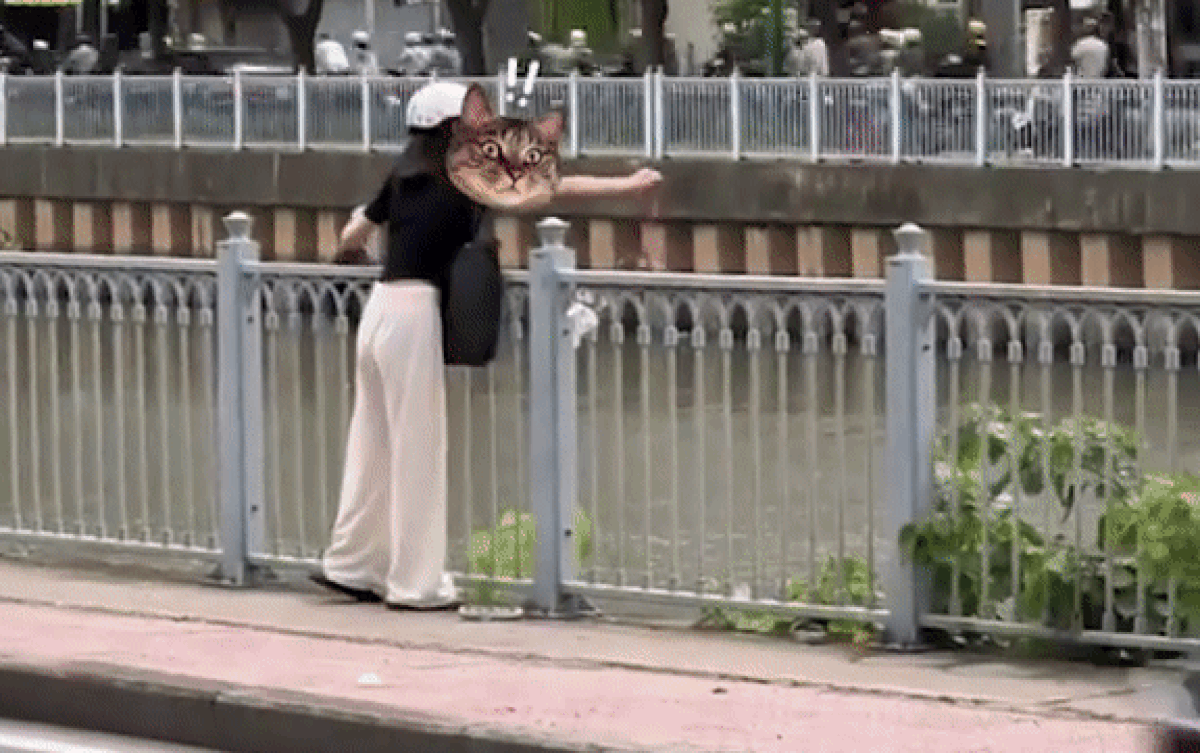 Có gì trong clip cô gái phóng sinh cua biển xuống hồ thu hút 3 triệu lượt xem? Ảnh 2