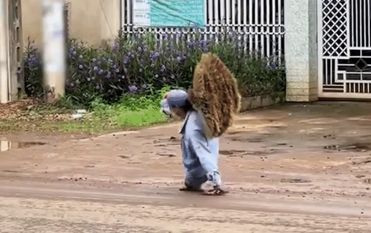 Người đàn ông khuyết tật 2 chân vẫn cố gắng mưu sinh khiến nhiều người suy ngẫm Ảnh 2