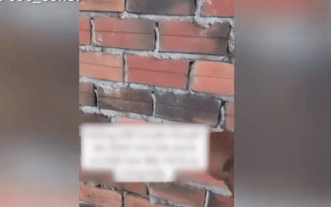 Vô tình tạt sữa mẹ lên tường, ít hôm sau người đàn ông phát hiện điều khó hiểu Ảnh 2