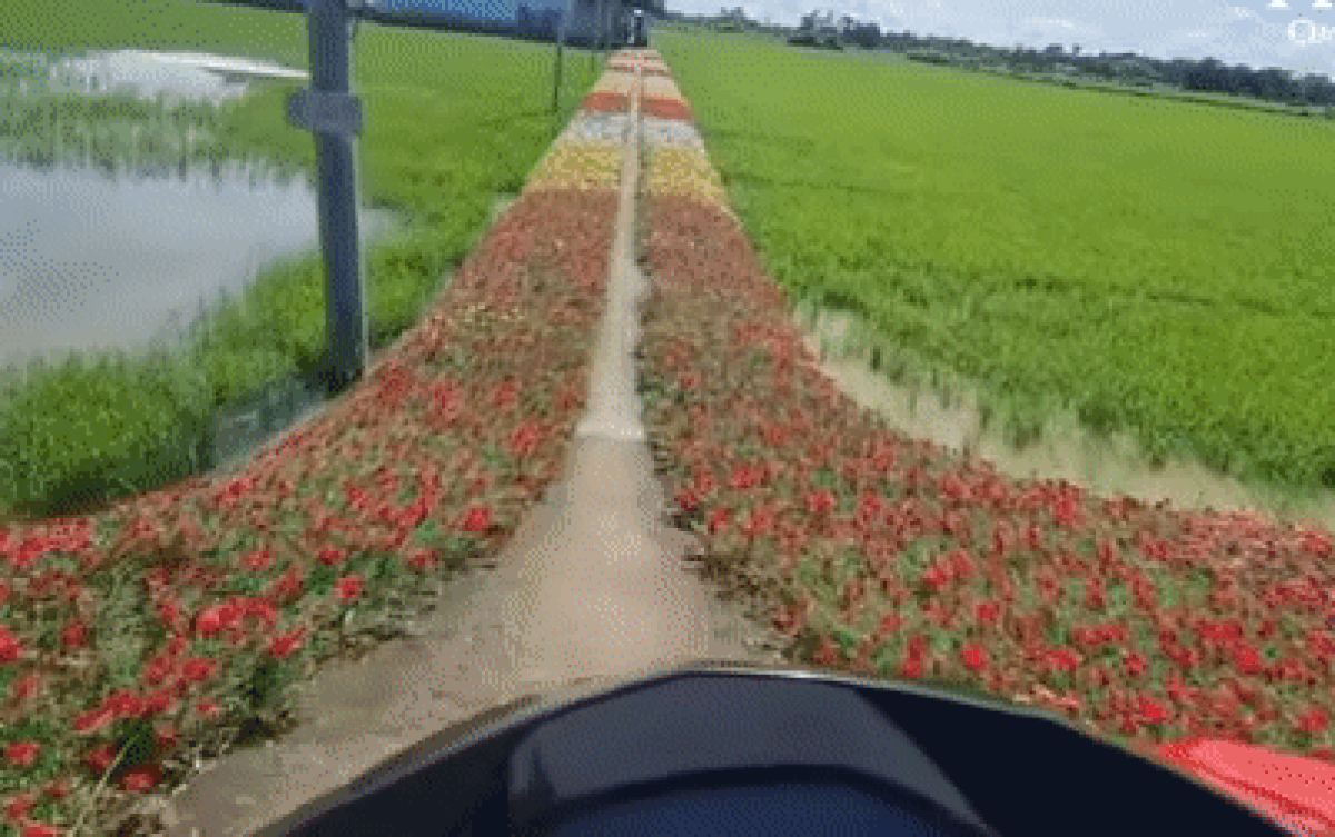 Về quê nghỉ lễ, thanh niên bỗng chốc áp lực ngang khi vừa đến cổng nhà Ảnh 2