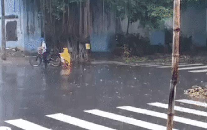 Clip: Bé 'vịt vàng' lẽo đẽo theo anh về nhà dưới trời mưa gây sốt mạng xã hội Ảnh 2