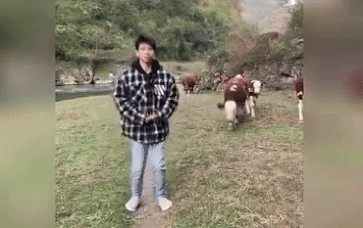 Thanh niên nhảy vũ điệu 'làng lá' trước mặt đàn bò và cái kết Ảnh 2