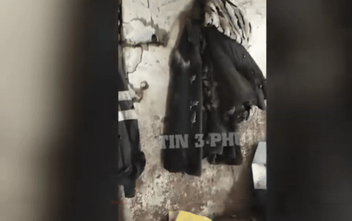 Nghe tiếng chuột kêu liên tục, người phụ nữ đi kiểm tra liền phát hiện cảnh 'nổi da gà' Ảnh 2