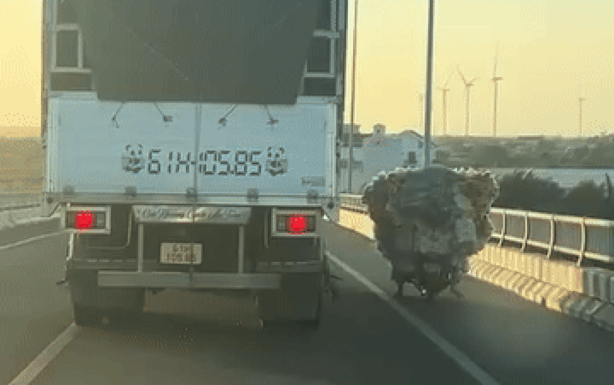 Thấy xe máy bị gió làm mất thăng bằng, tài xế xe tải có hành động khiến ai cũng ấm lòng Ảnh 2