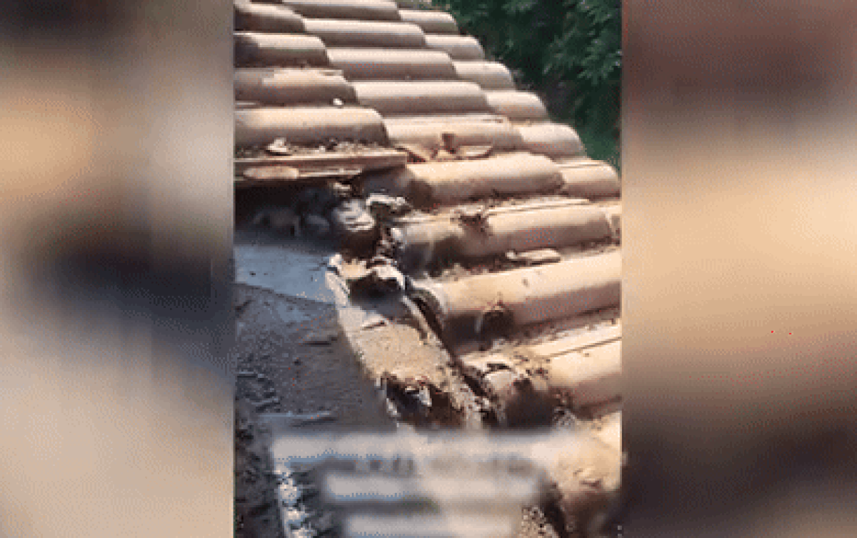 Nghe tiếng động lạ trên mái nhà, người đàn ông lên kiểm tra liền phát hiện cảnh tượng khó ngờ Ảnh 2