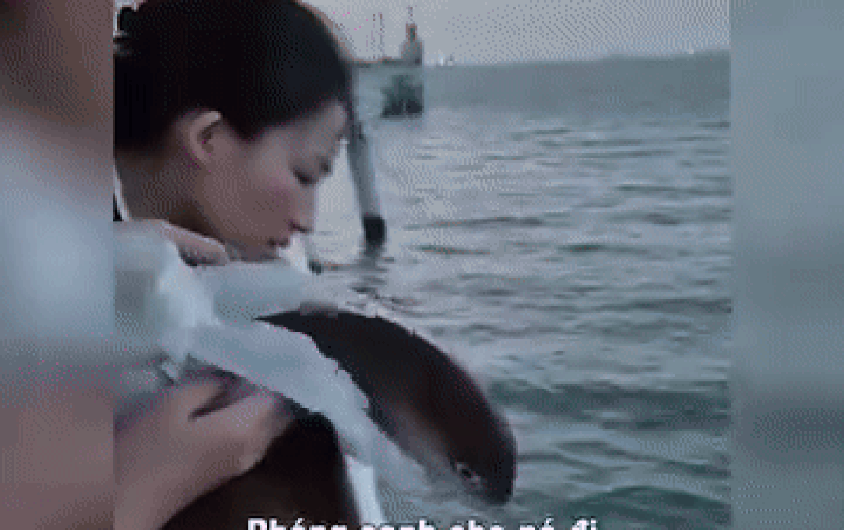 Cô gái phóng sinh cá ngoài biển khơi và cái kết khiến dân tình bàn luận rôm rả Ảnh 2