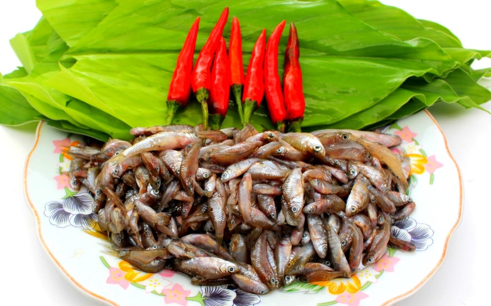 Loại cá xưa đầy ít ai bán, giờ thành đặc sản được ưa chuộng nhưng hiếm ...