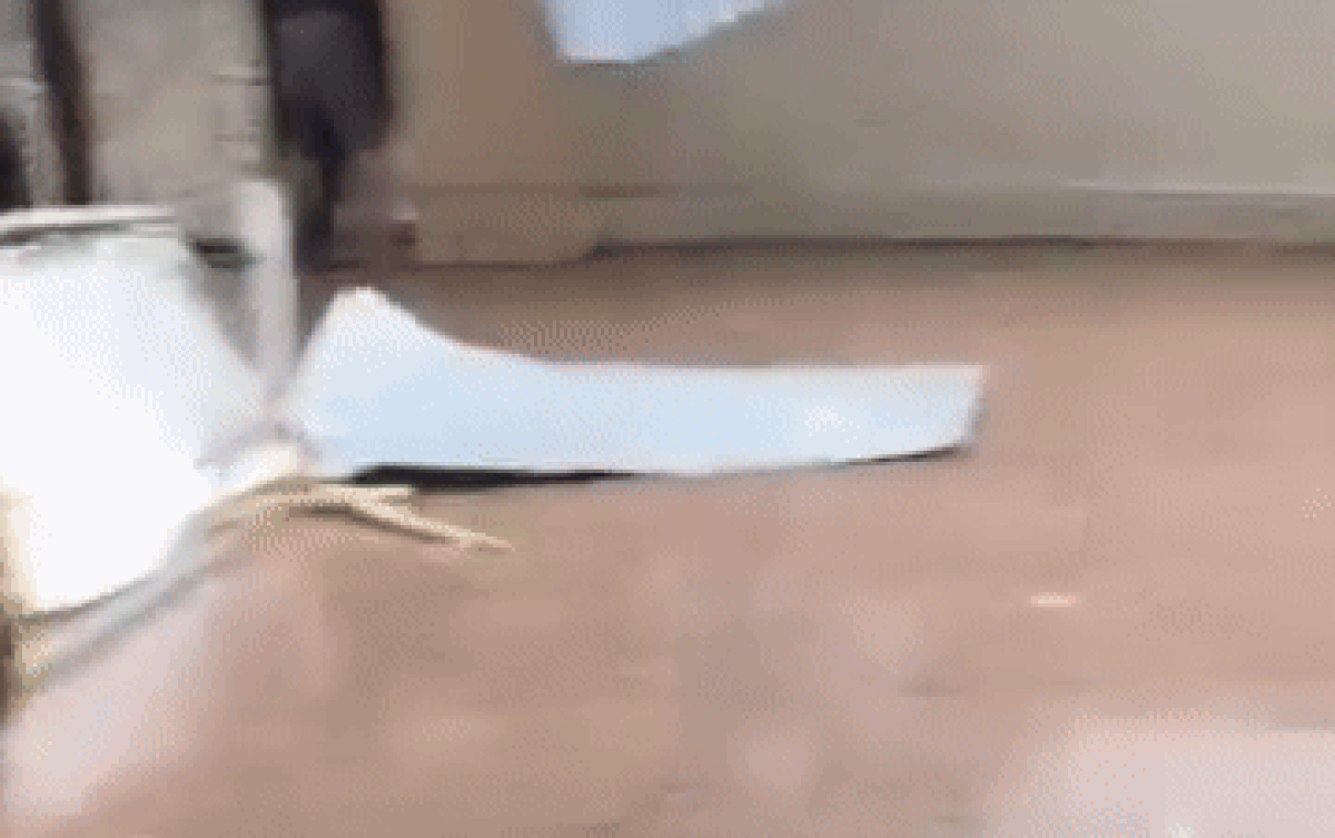 Gió bão làm mái tôn bay vèo vèo, 3 người đàn ông ẩn nấp ở nơi không ai ngờ Ảnh 2