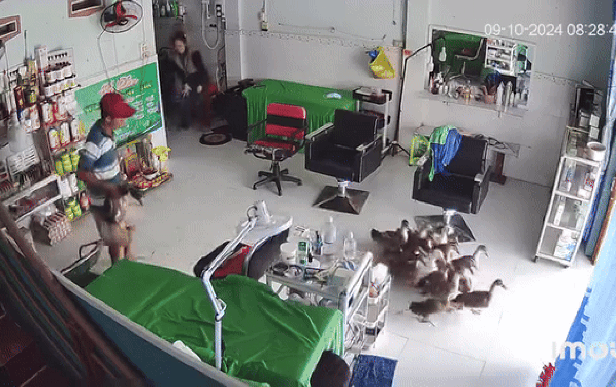 Thấy đoàn khách lạ bước vào, chủ tiệm gội đầu chỉ biết bất lực thốt lên 'trời ơi' Ảnh 2